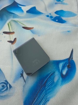 Samsung Galaxy Z Flip5 512GB Negro