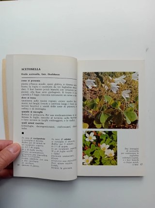 Cercatutto Piante Medicinali