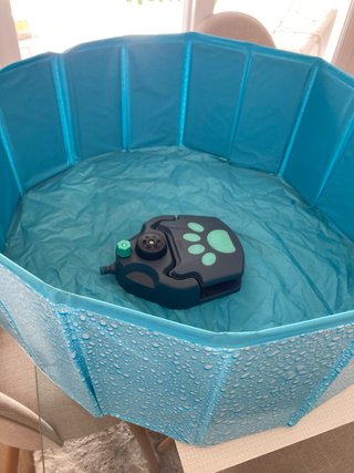 Piscina para perros plegable