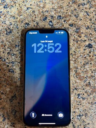iPhone 13 Pro Max 96% Batteria Oro