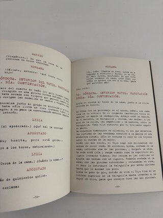 Hable con ella: El guión