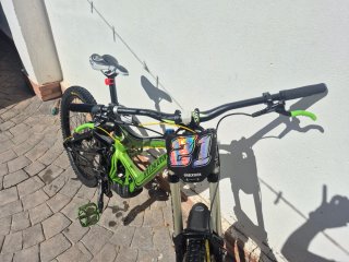 Bicicleta de Descenso Verde