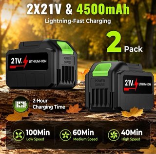 Soplador Hojas Batería 21V 2 Tubos