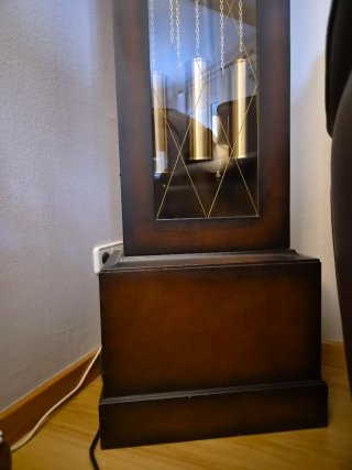 Reloj de pie antiguo Tempus Fugit