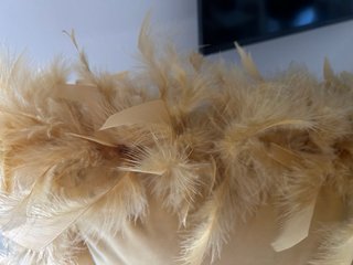 Cojín tacto piel melocotón con plumas