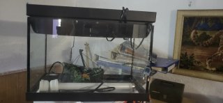 Acuario de cristal y plástico