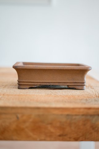 Maceta Yixing Bonsai