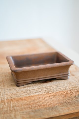 Maceta Yixing Bonsai