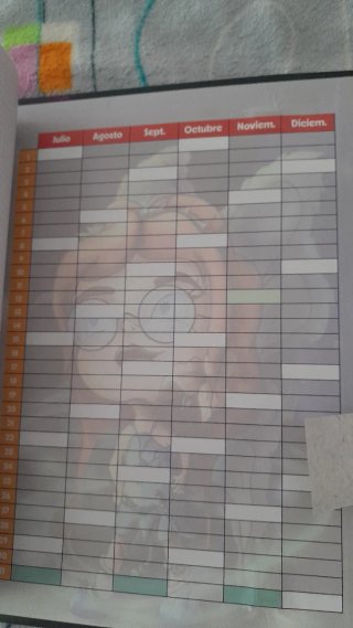 Carpeta A4 Reggae Star con recambio