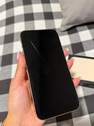 iPhone 13 Pro Max Oro