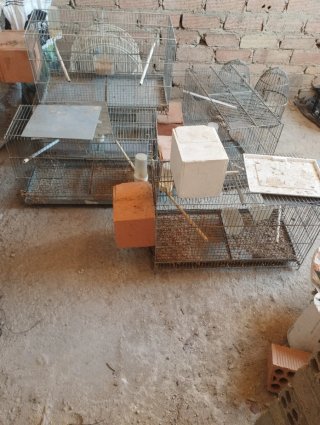 Jaulas para canarios