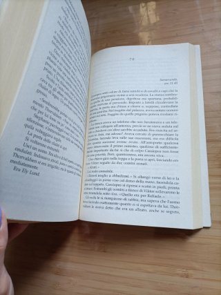 L'ombra del leone