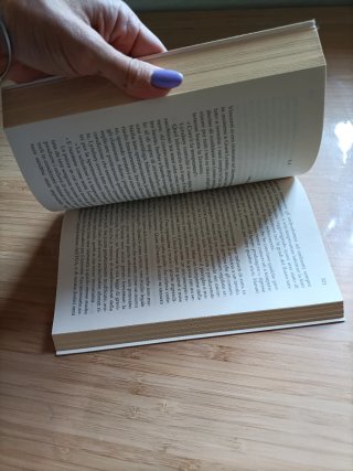 L'ombra del leone