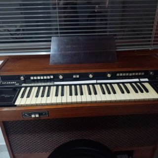 Órgano Granada 49