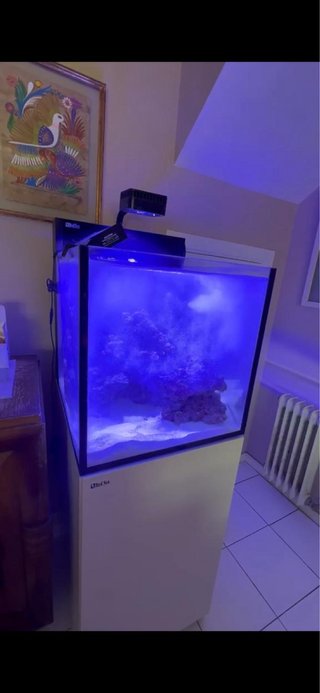 Acuario marino con mueble