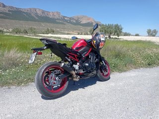 Kawasaki Z900 A2 2024