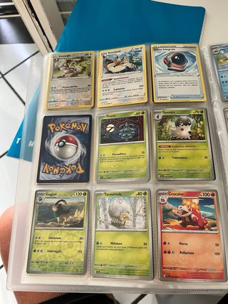 carte pokemon