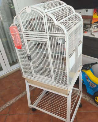 Jaula para loro gris africano