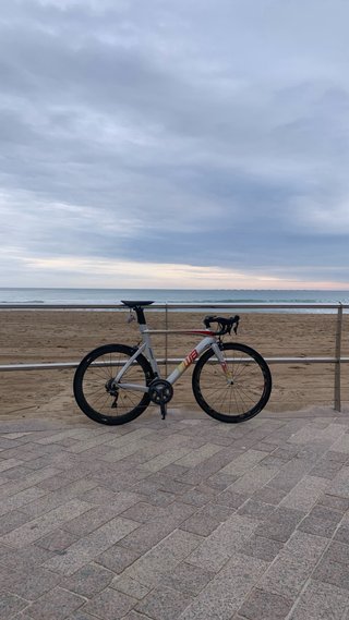 Bicicleta carbono FINNA NWB
