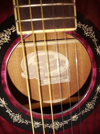 Guitarra Acústica Fender T-Bucket 200.