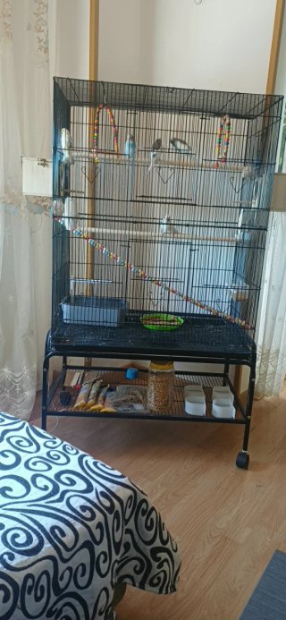 Jaula grande para pájaros