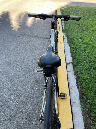 Bicicleta Trek Paseo Mujer/Niño