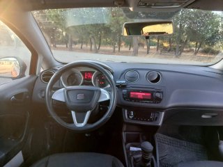 SEAT Ibiza 2010