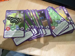 Juego de cartas Hit Insectos