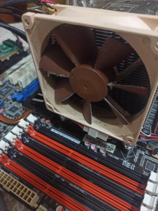 Placa base y componentes PC