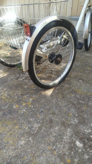 Bicicletta a tre ruote con cestino