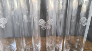 6 Vasos discoteca metamorfosis