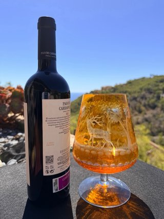 Copa Bohemia Cristal Naranja Colección Ciervo