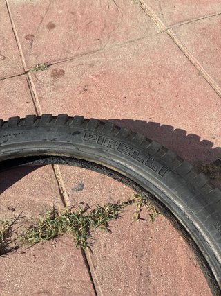 Gas Gas JT 250 Pirelli Neumatico delantero