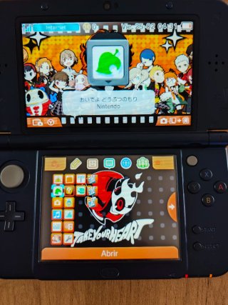 Animal Crossing DS (JPN)