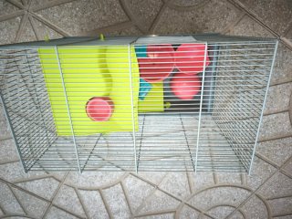 Jaula para hámster con accesorios