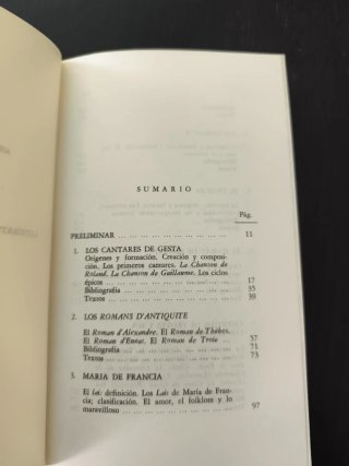 Literatura románica medieval i narrativa