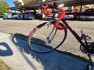 Bicicleta Clásica Giant Cadex