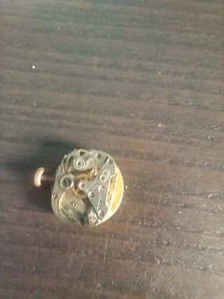Movimento Orologio Vintage Novex Genève 17 Rubis