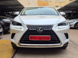 Lexus NX 2019