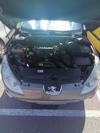 Peugeot 407 2004