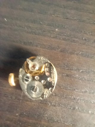 Movimento Nier 17 Rubis ricambi 12x15.7mm