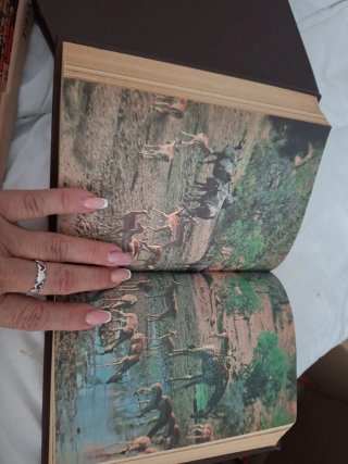 2 libros clásicos-selecc de la narrativa mundial