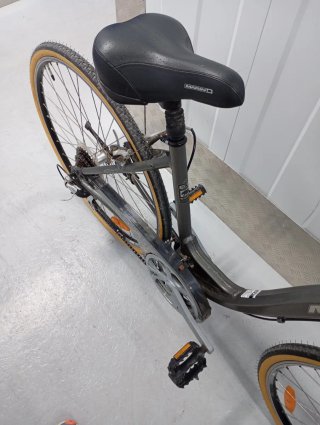 Bicicleta Paseo Marin Gris.