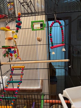 Jaula para Agapornis y pájaros pequeños
