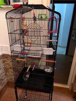Jaula para Agapornis y pájaros pequeños