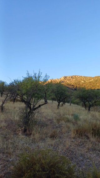 Terreno en Almería. Los Celagomes (Valle)