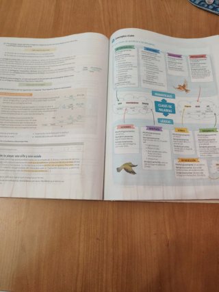 Lengua castellana y literatura 1 Bachillerato