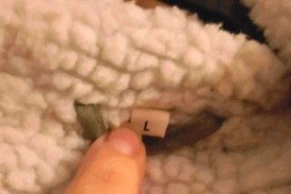 Parka verde con cerniera rotta vanno solo bottoni