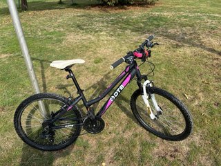 Bicicleta infantil ODTB rosa
