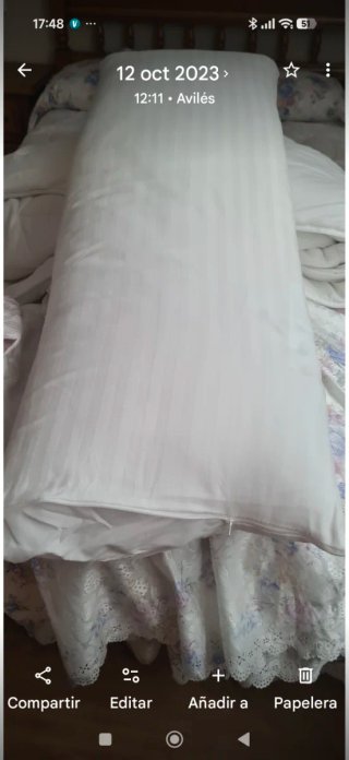 2 Almohadas Cama 1.05cm
